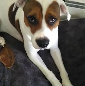 Meet your Posher, Tony